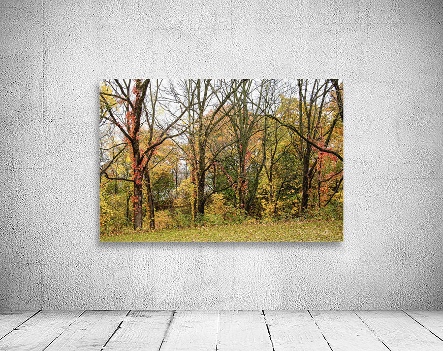 Along the Niagara River Wall Preview