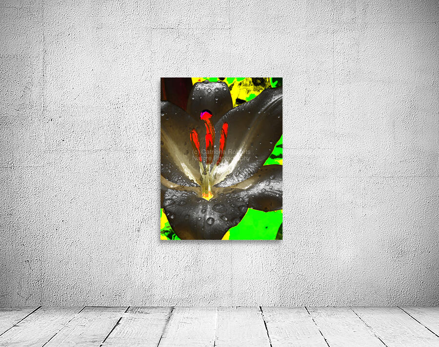 Abstract Vibrant Graffiti Lily Flower Wall Preview