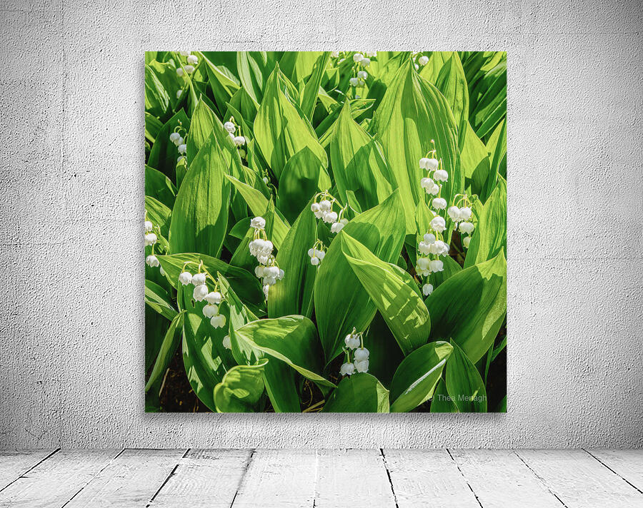 Lilly of the Valley  Wall Preview