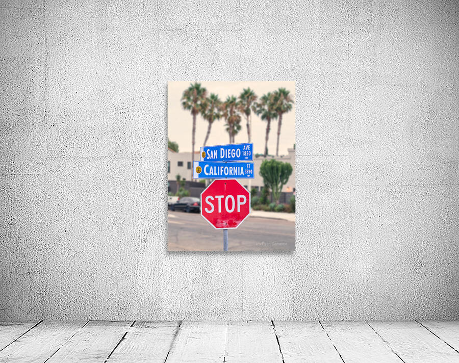 San Diego Avenue at California Street Sign Vertical Wall Preview