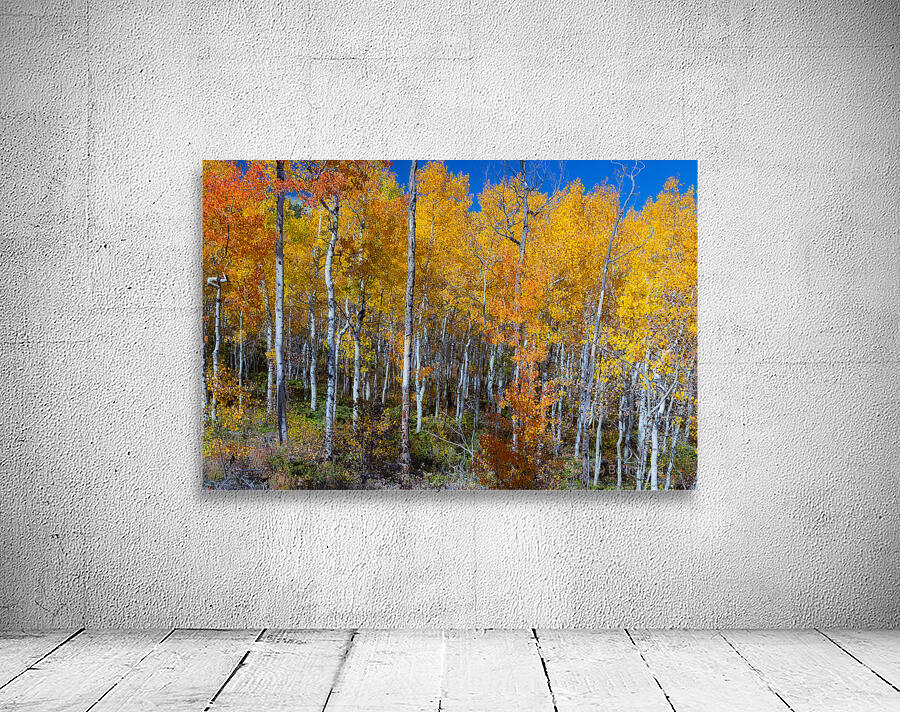 Mix It Up Wall Preview