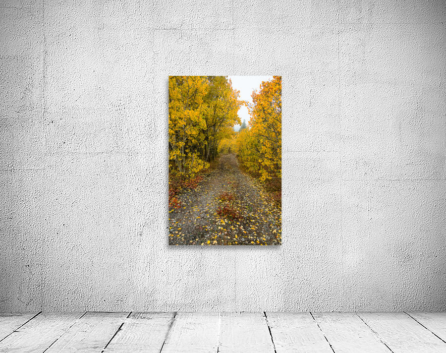 Inviting Autumn Hiking Trail Wall Preview