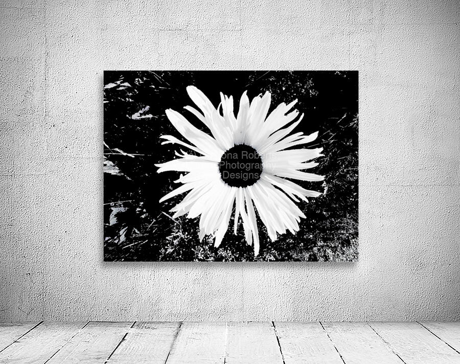 Abstract Black and White Daisy Wall Preview