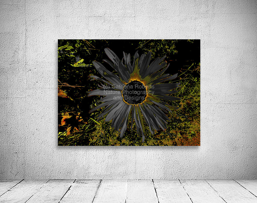 Abstract Dark Daisy Yellow Centre Wall Preview