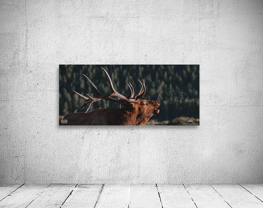 The Rutting of the Elks Wall Preview