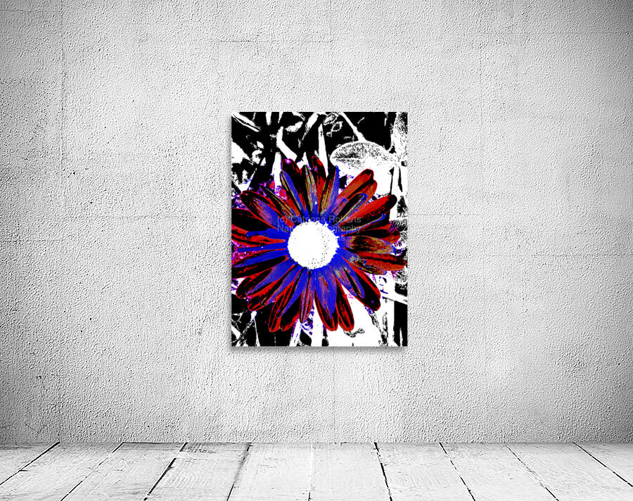 Abstract Vibrant Red and Blue Daisy Wall Preview