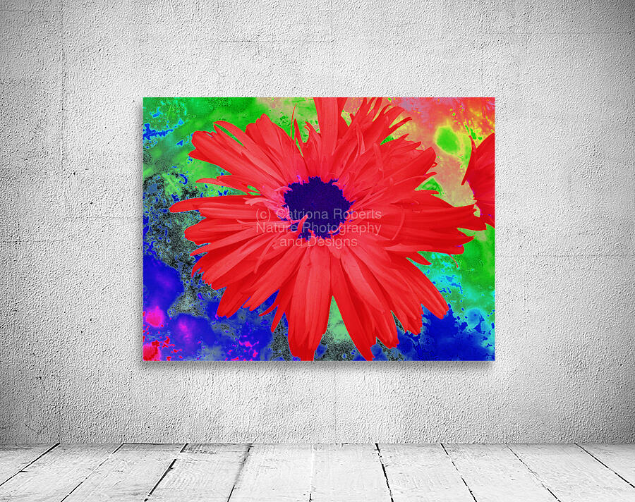 Abstract Psychedelic Daisy Wall Preview
