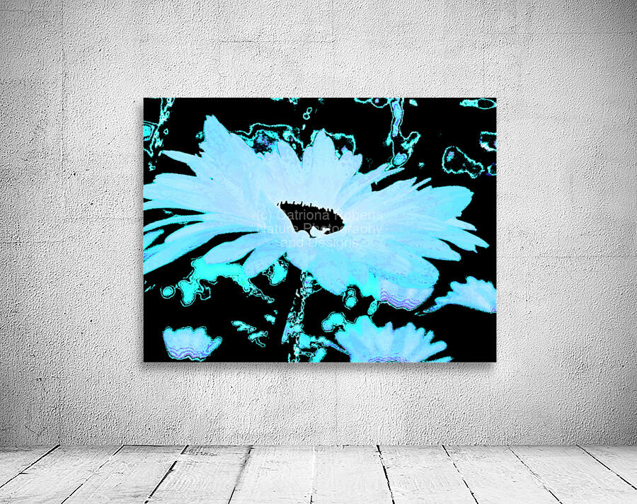 Abstract Daisy in Blue Wall Preview