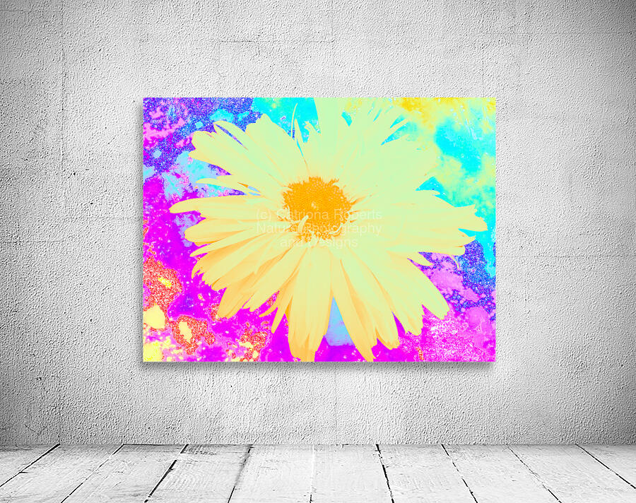 Abstract Pastel Daisy Wall Preview