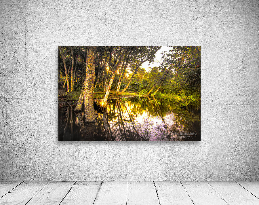 Playa Grande en Cahuita Beach Wetlands by Norma Brandsberg Photography