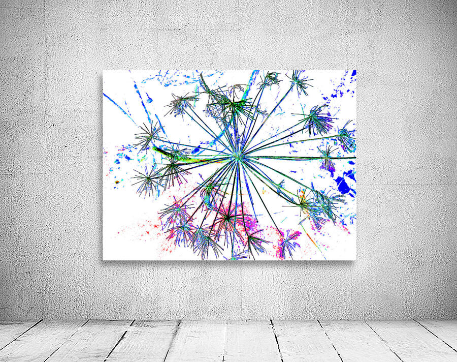 Abstract Colourful Angelica in the Morning Wall Preview