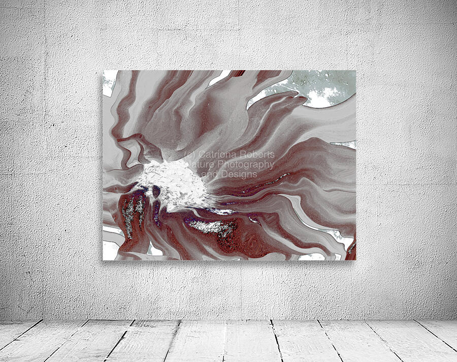 Abstract White and Grey Flowing Daisy Flower  Wall Preview