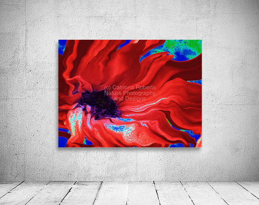 Abstract Dark Centred Red Flowing Daisy Flower Wall Preview