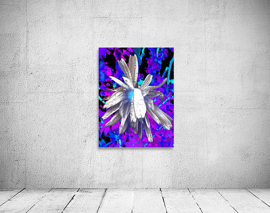 Abstract Monochrome Daisy Flower on a Psychedelic Background Wall Preview