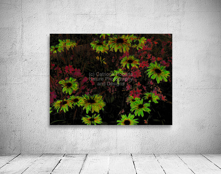 Abstract Surreal Daisy Garden Wall Preview