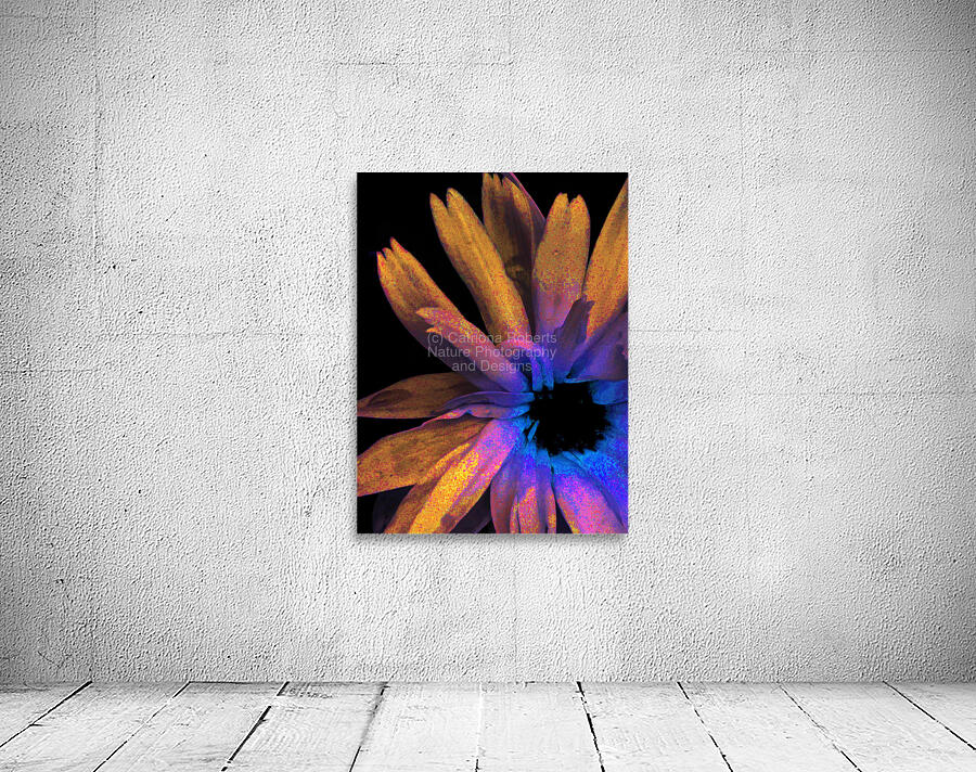 Abstract Daisy in Yellow Blue and Pink Wall Preview