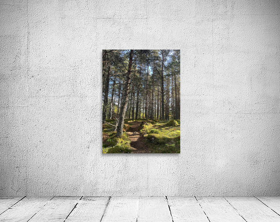 Autumnal Nature Walk through the Scottish Highlands  Wall Preview