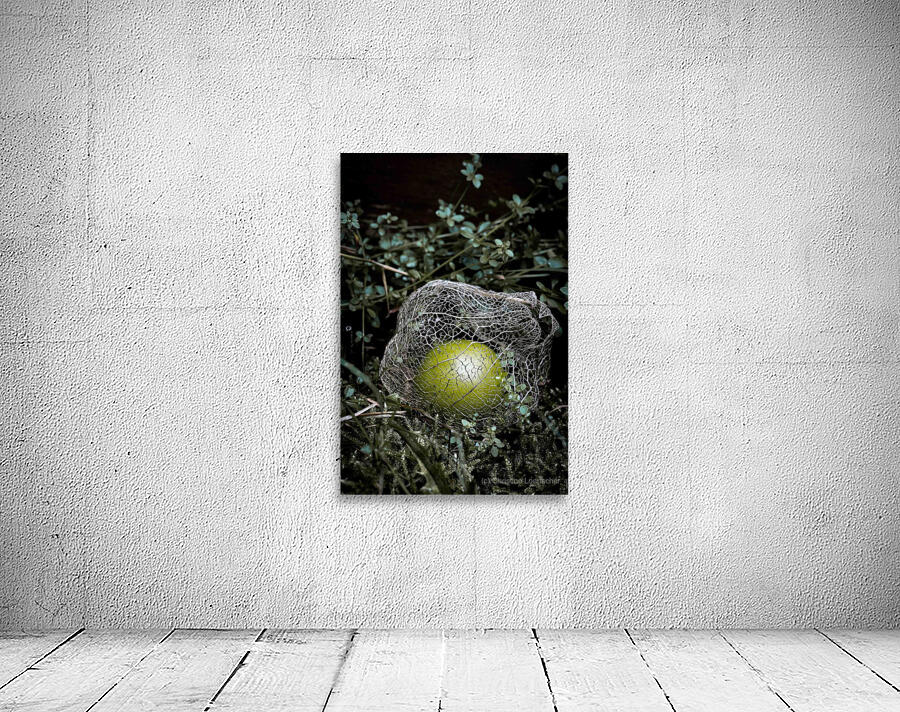 Fallen Tomatillo Wall Preview