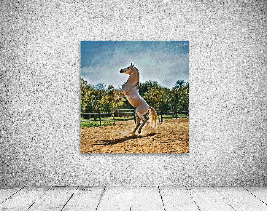 white horse oilpaint 3 Wall Preview