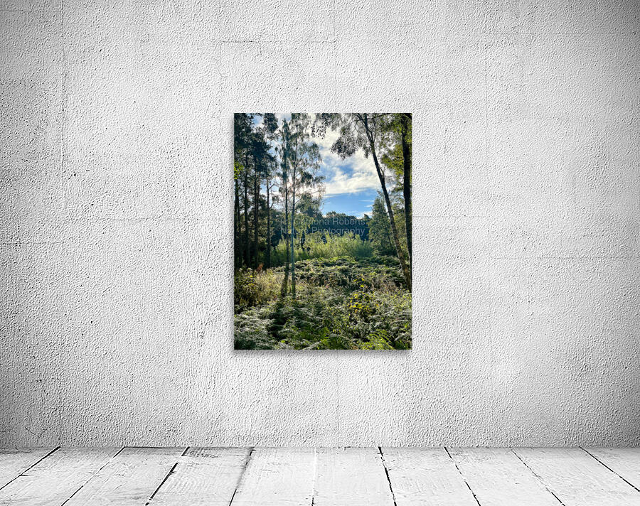 Scottish Highlands Landscape Wall Preview