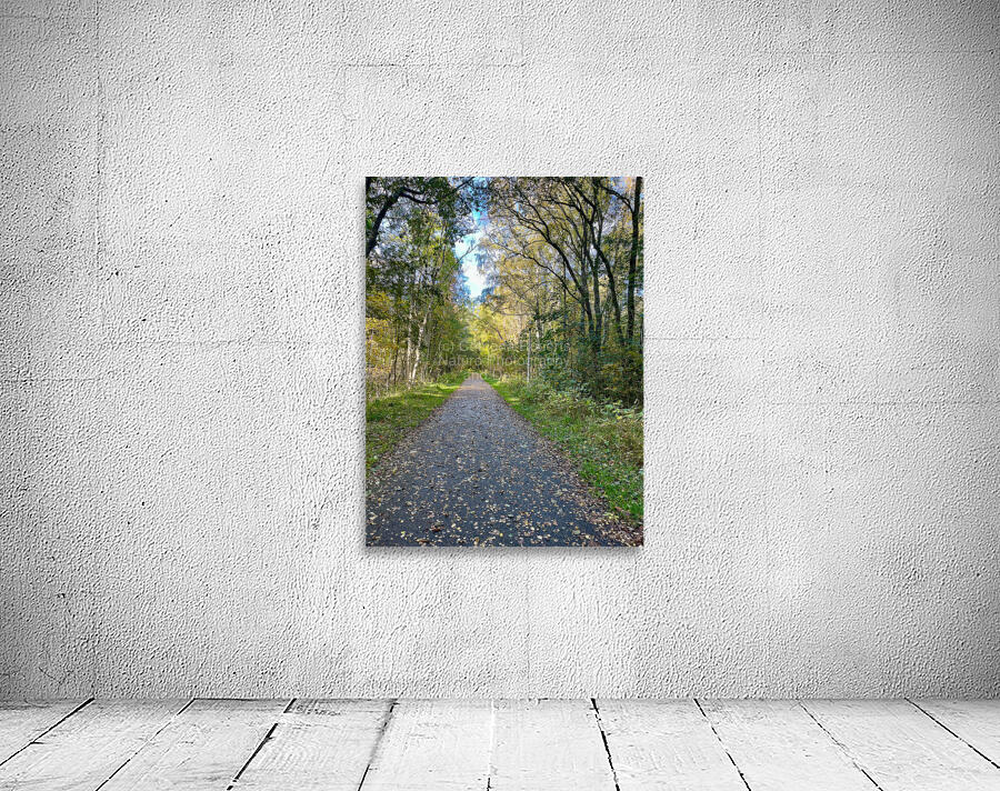 Scottish Highlands Autumn Walk Wall Preview