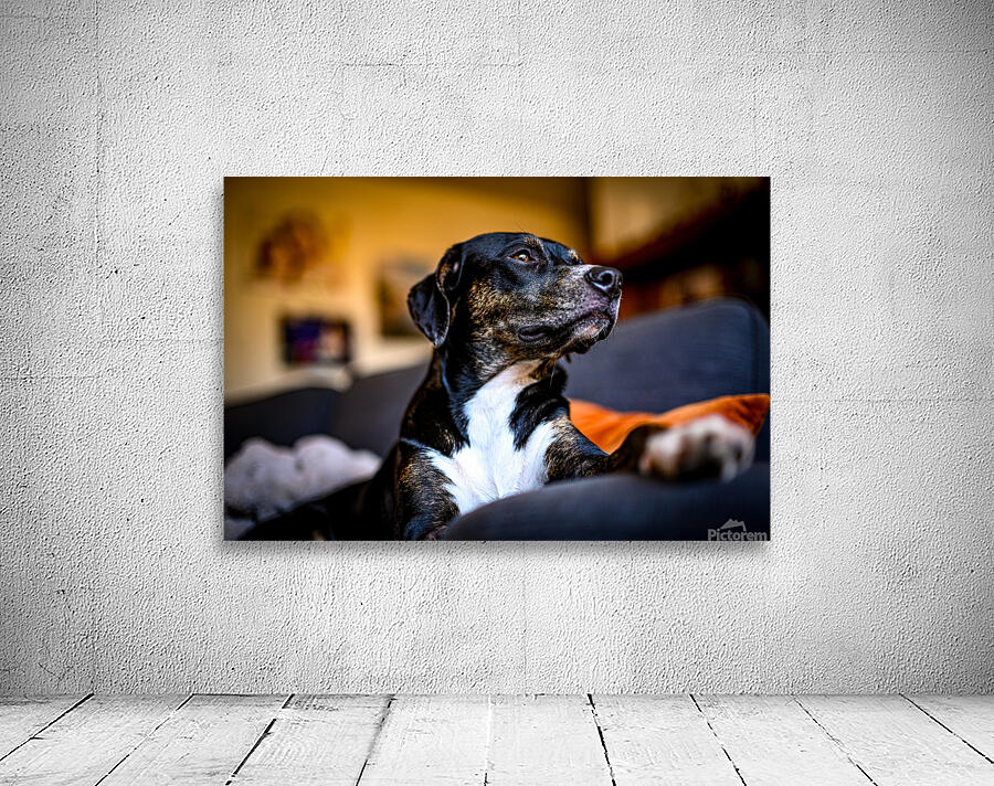 Z72 4022 Wall Preview