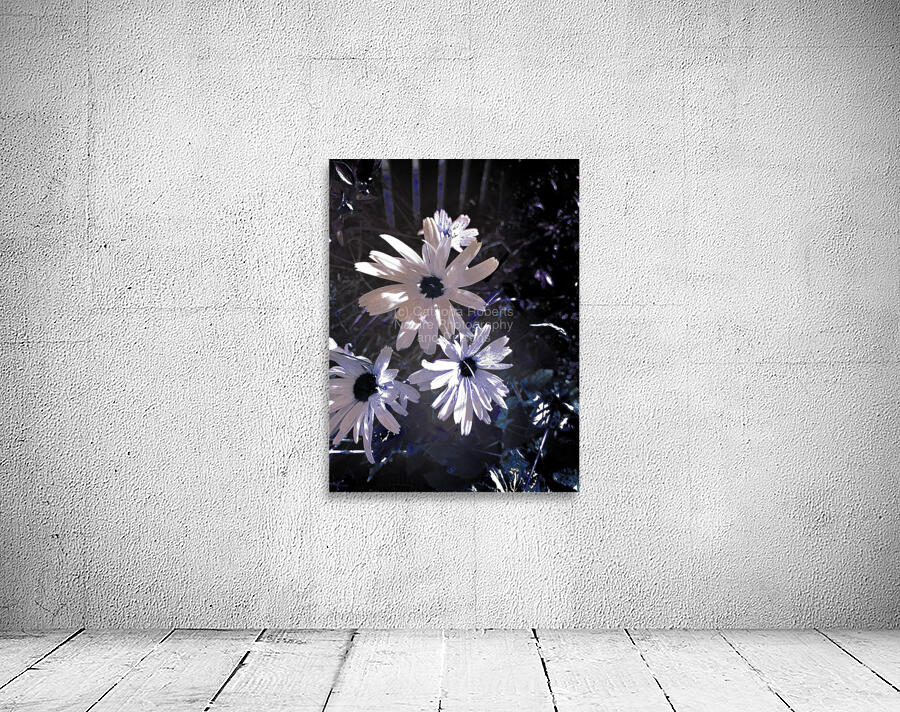 Abstract White Daises Wall Preview