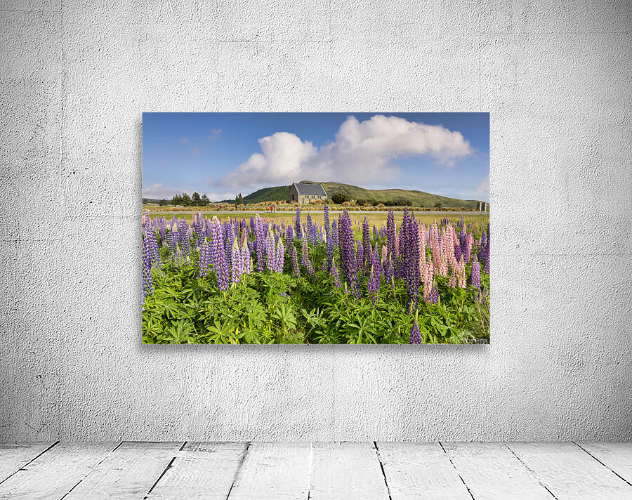 Lupins and Church of the Good Shepherd Tekapo New Zealand Wall Preview