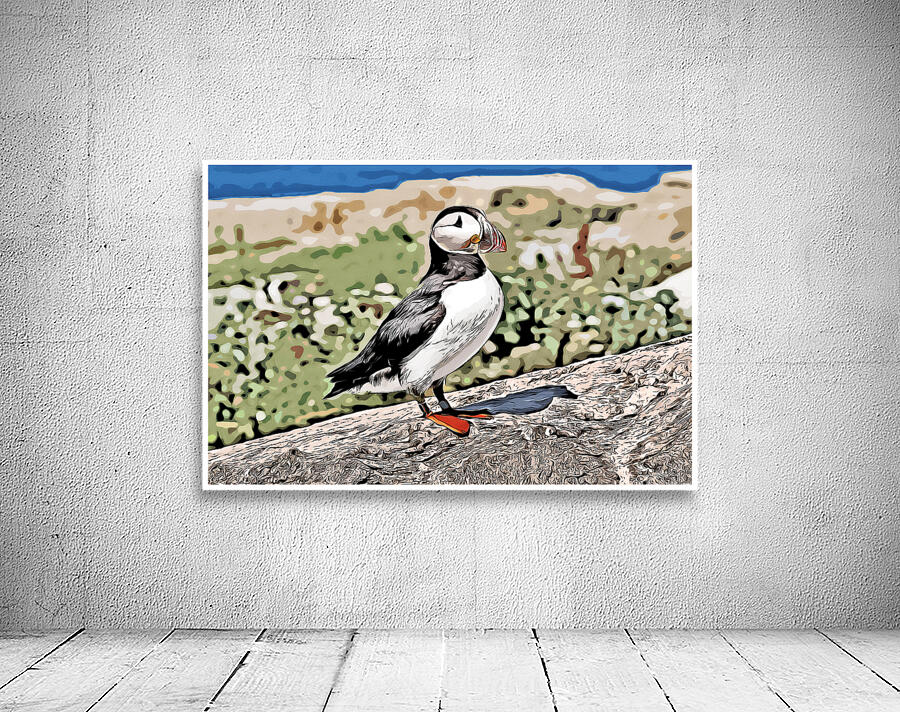Atlantic Puffin Guarding Its Nest on a Rocky Island in Maine - Illus. by Allan Wood
