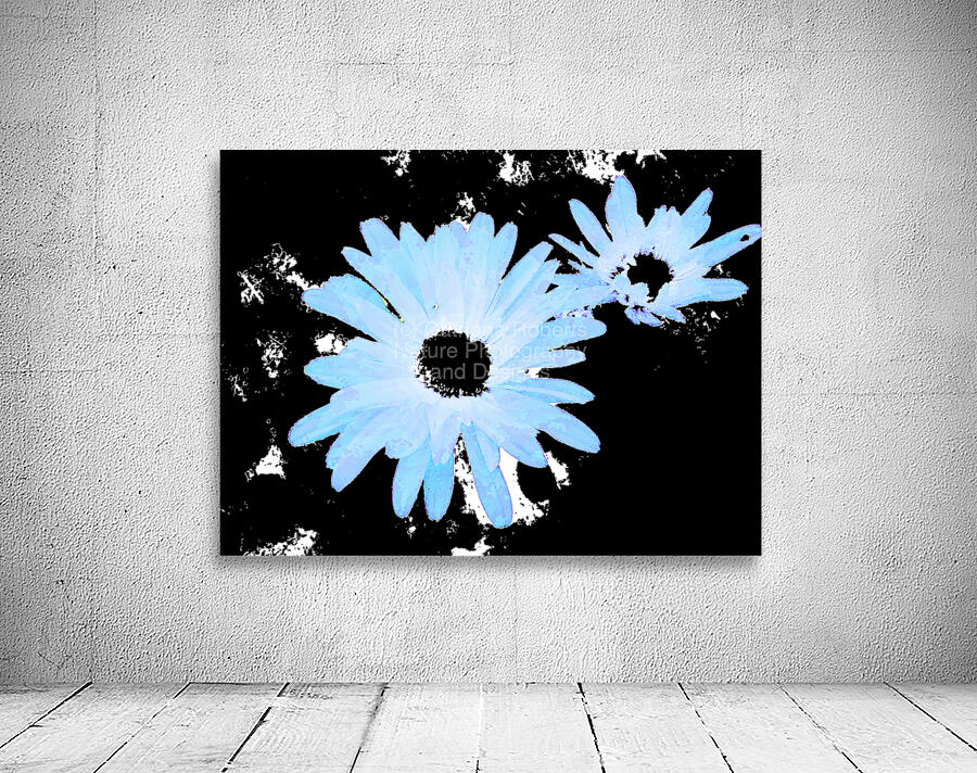 Abstract Blue Daises on a Monochrome Background Wall Preview