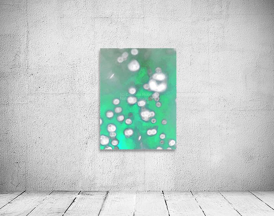 Abstract White Circular Shapes Floating in Green  Wall Preview