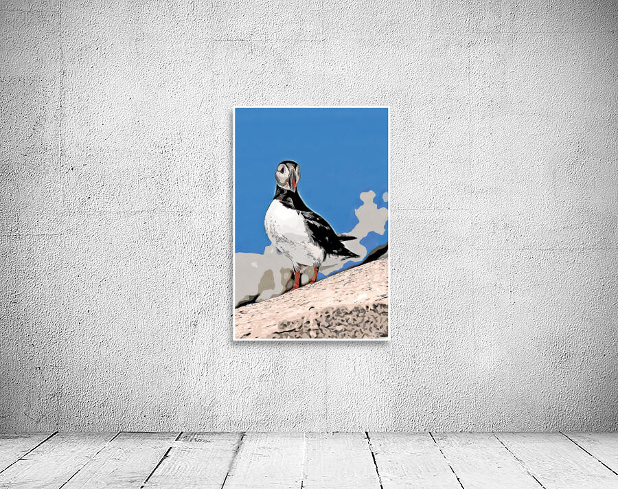 Atlantic Puffin Bird on Rocky Island Off Maine Coast - Illus. by Allan Wood