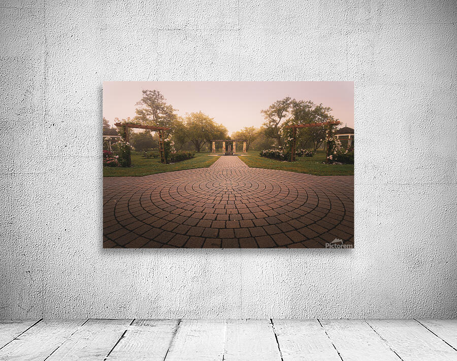 Allentown Rose Gardens Central View by Jason Fink