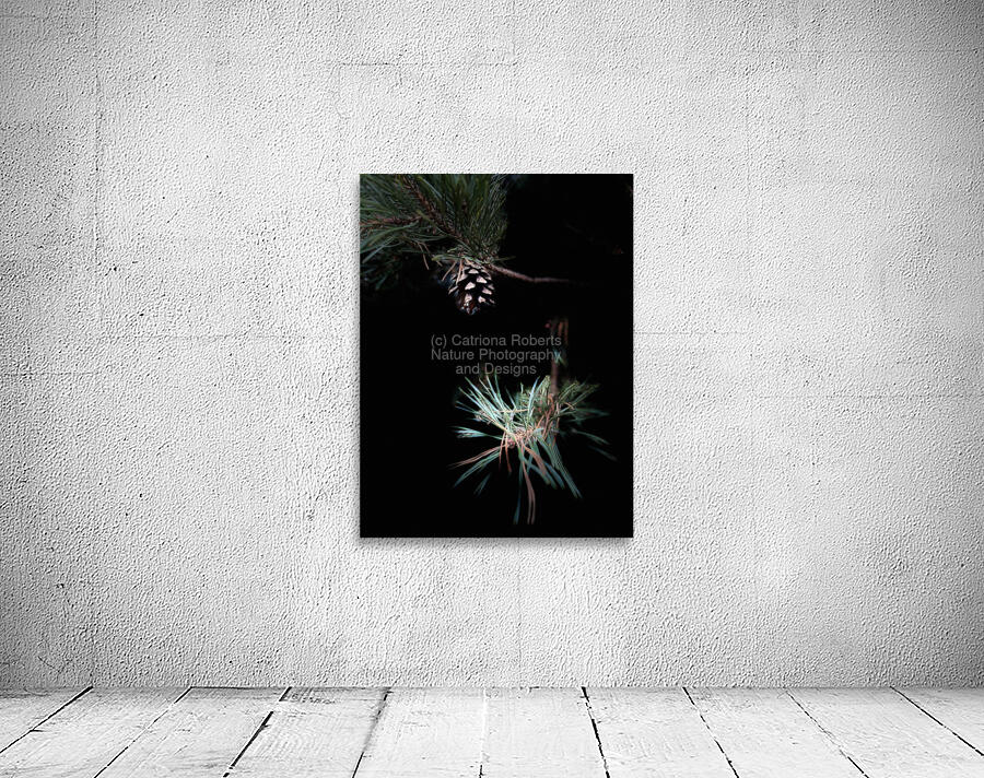 Scenes from the Trail- Pine Cone Wall Preview