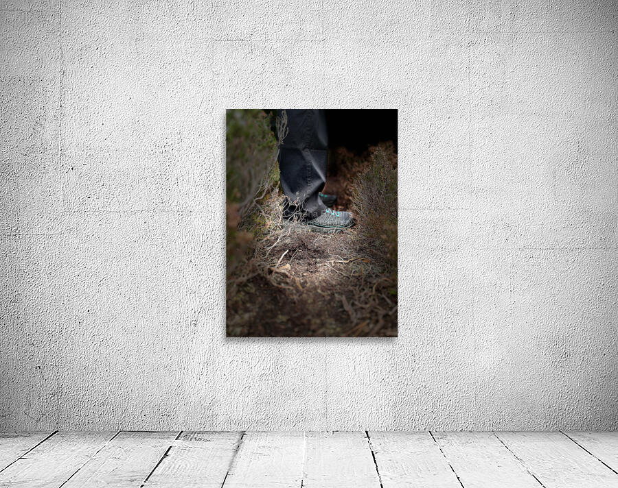 Scenes from the Trail-Standing Wall Preview