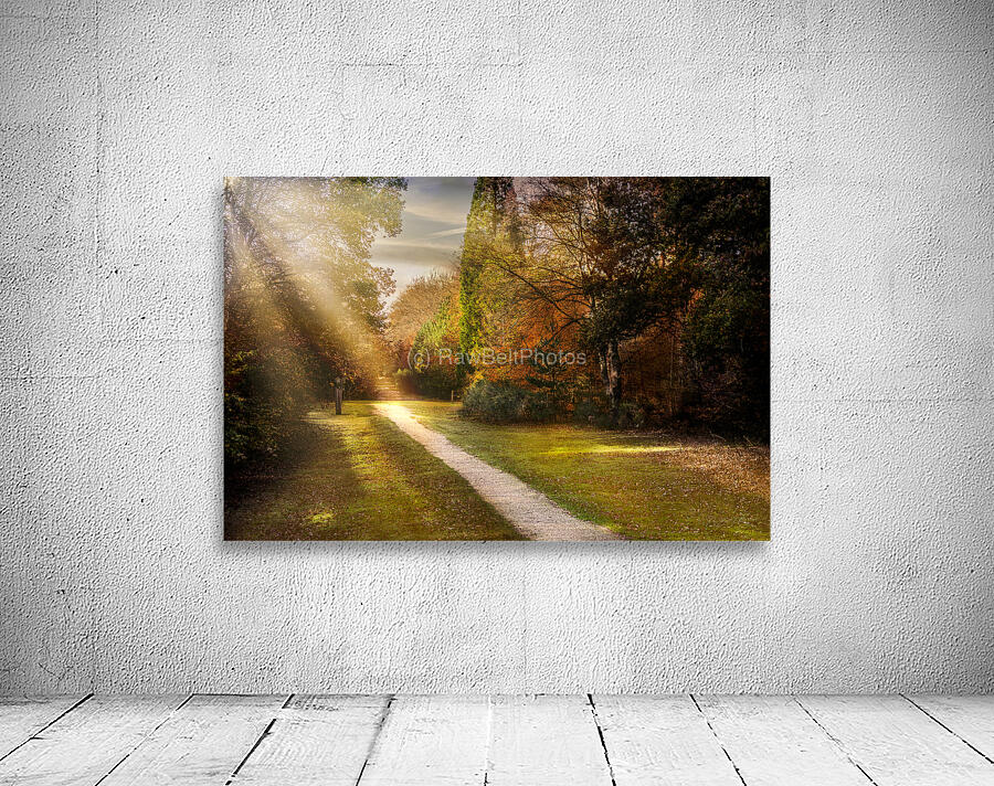 Brandon UK path Wall Preview