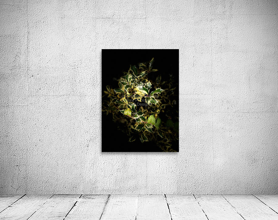  Variegated Holly Wreath  -  Merry Christmas  Wall Preview