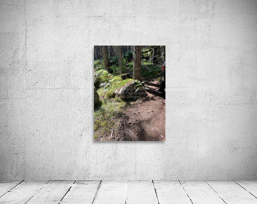 Scenes from the Trail- On the Edge Wall Preview