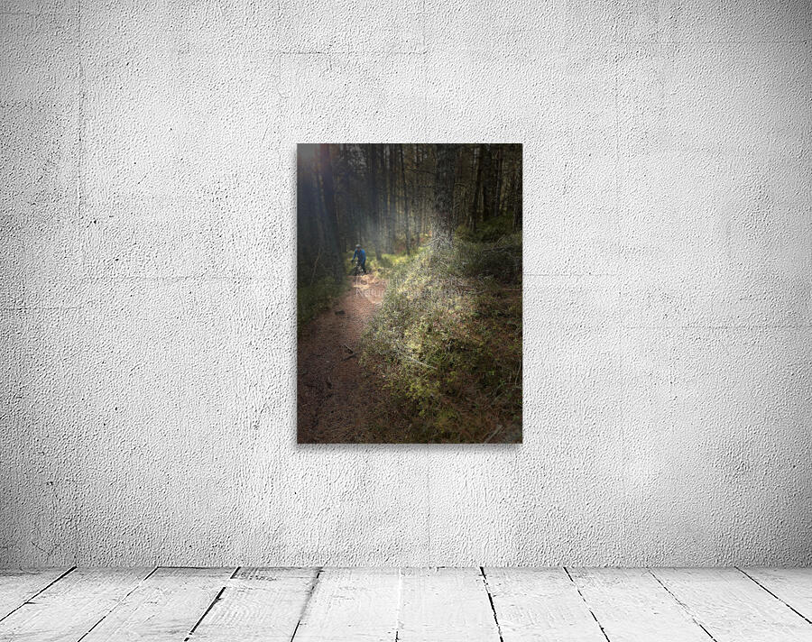 Scenes from the Trail  Unexpected Meetings  Wall Preview