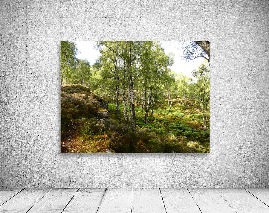 Spring Calls for the Scottish Highlands Wall Preview