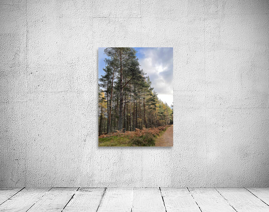 Autumnal Serenity in the Scottish Highlands Wall Preview