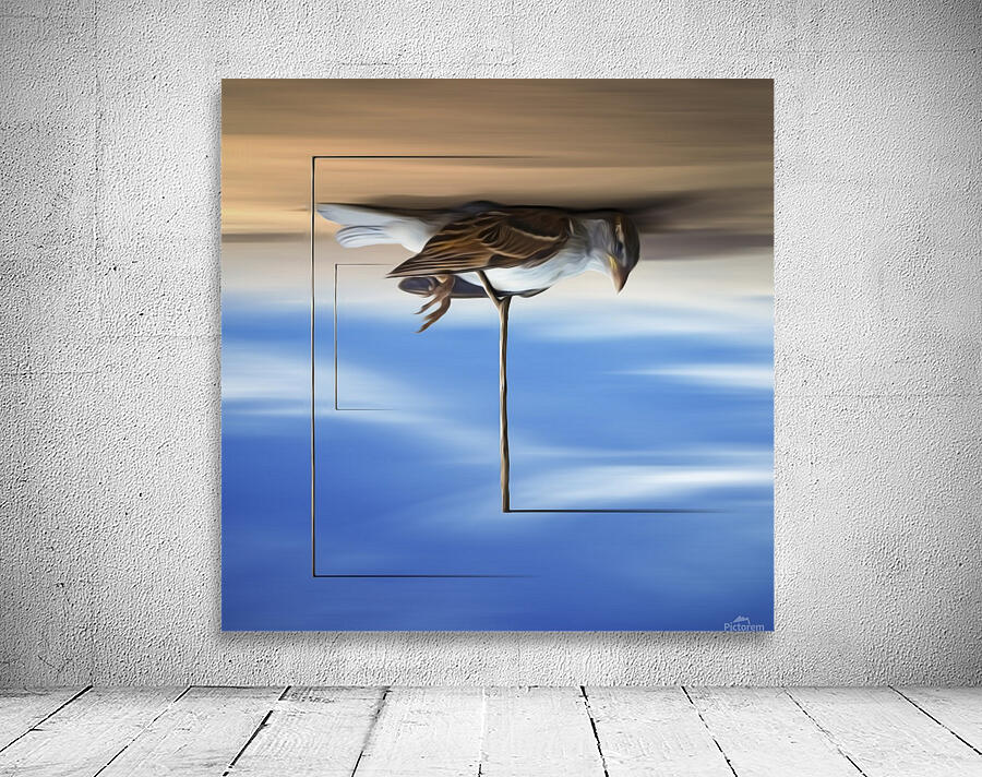 Avis Rara Wall Preview