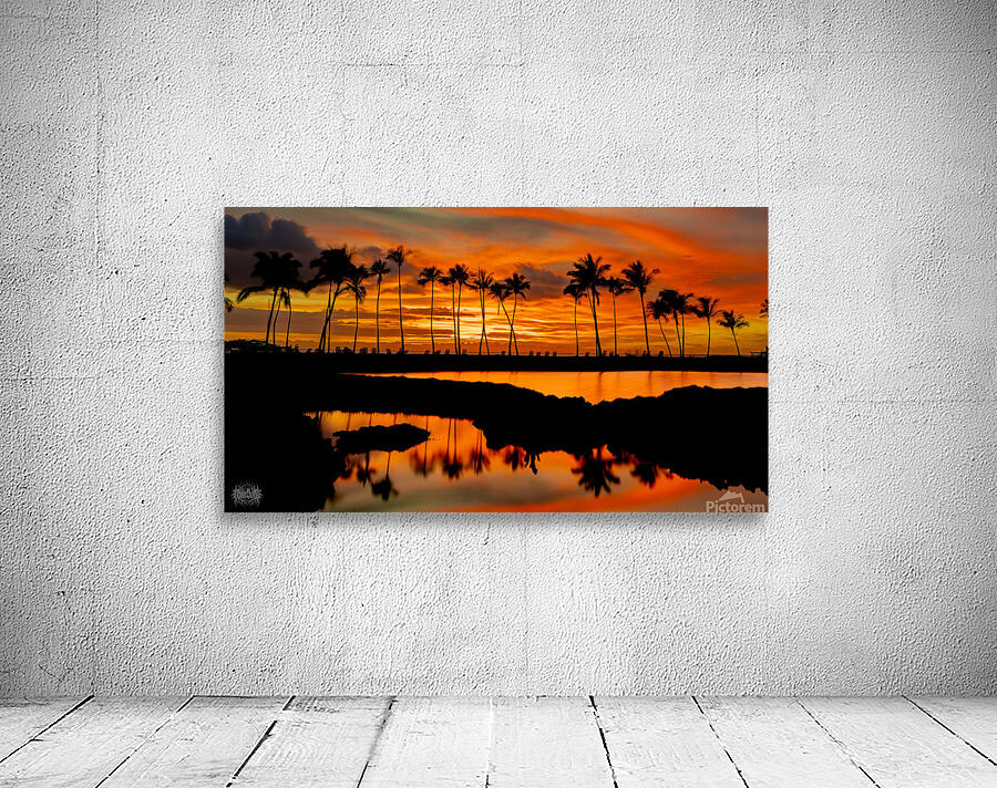 Why Koloa  Wall Preview