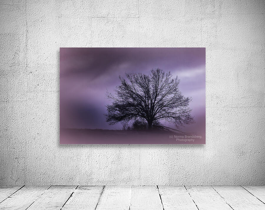  Moonlight  Hilltop Tree Perfection Wall Preview