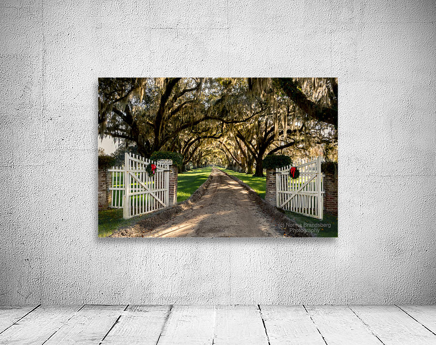 Tomotley   Plantation Christmas  Wall Preview