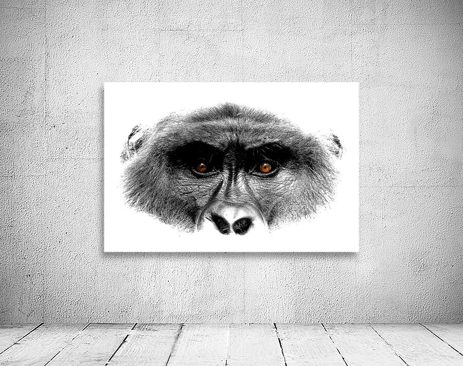 Gaze of Bahati B&W Wall Preview