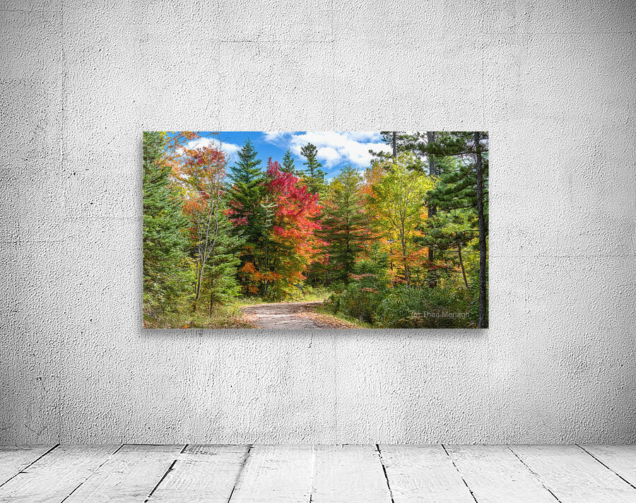 A Dirt Road Less Travelled Wall Preview