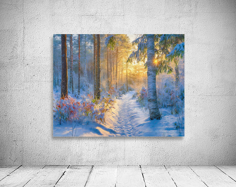 Sunrise After the Snow Wall Preview