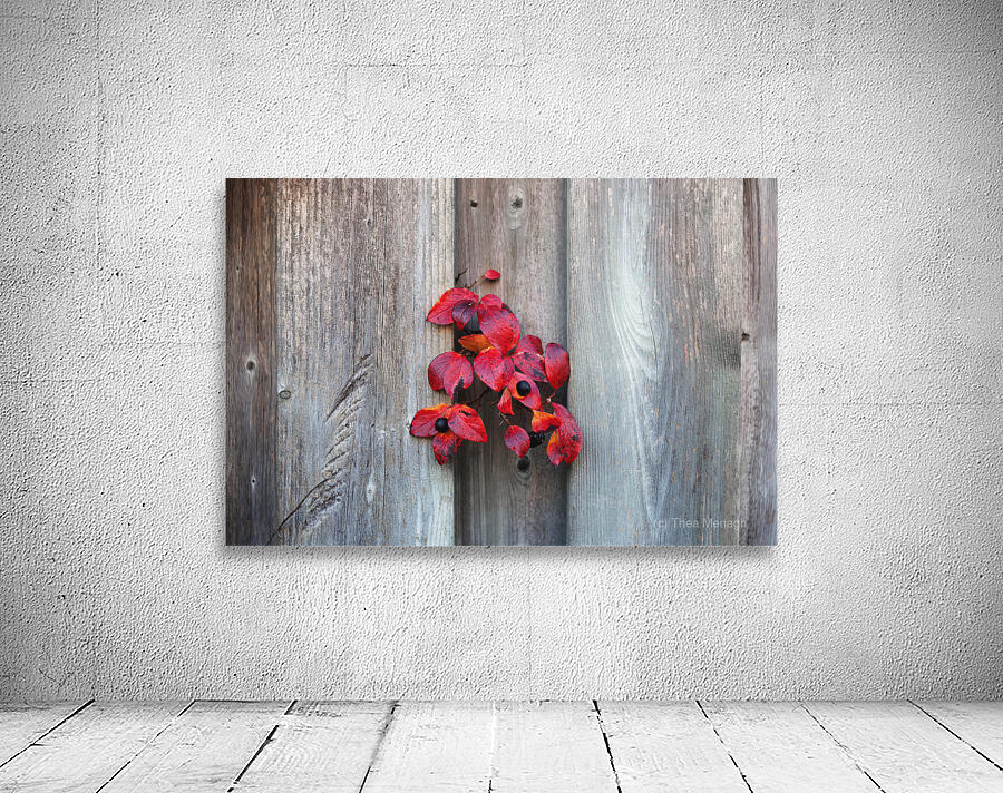 Back on Your Own Side Wall Preview