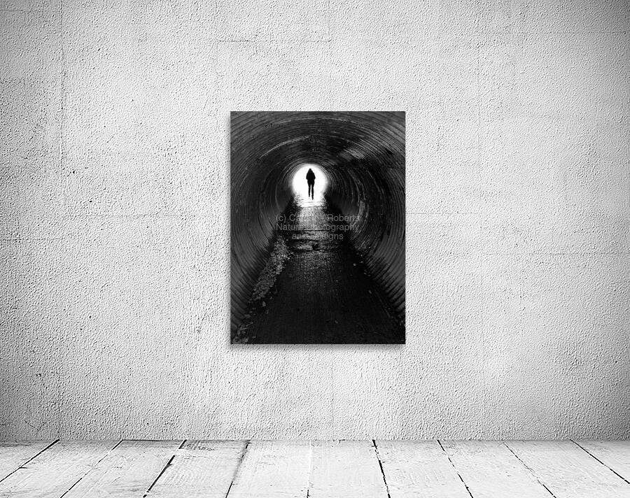  Scenes from the Trail -Through the Tunnel  Wall Preview